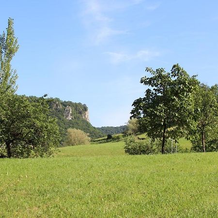 Domaine De Bellevue Gite Du Mont Poupet Marnoz Ngoại thất bức ảnh