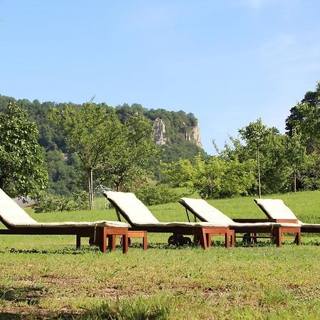 Domaine De Bellevue Gite Du Mont Poupet Marnoz Ngoại thất bức ảnh