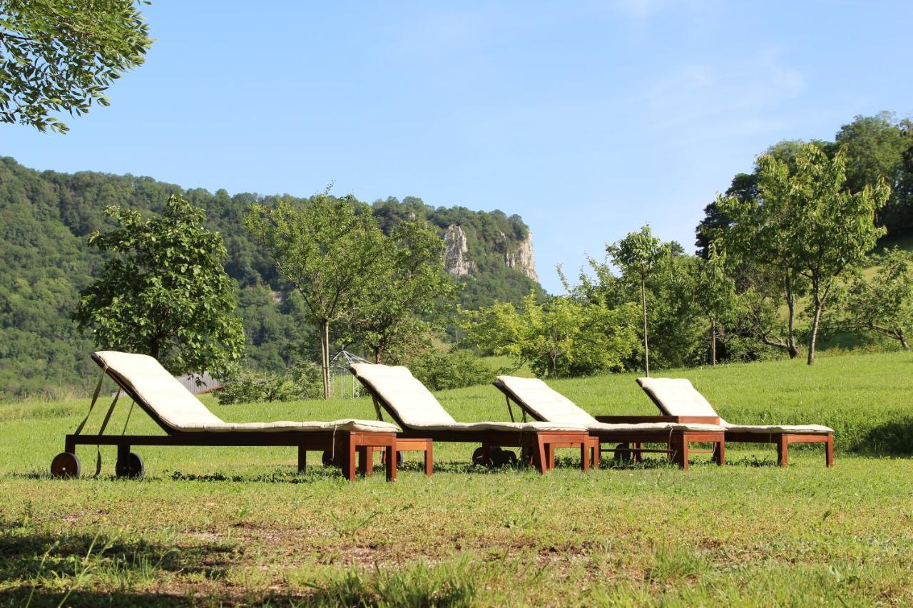 Domaine De Bellevue Gite Du Mont Poupet Marnoz Ngoại thất bức ảnh